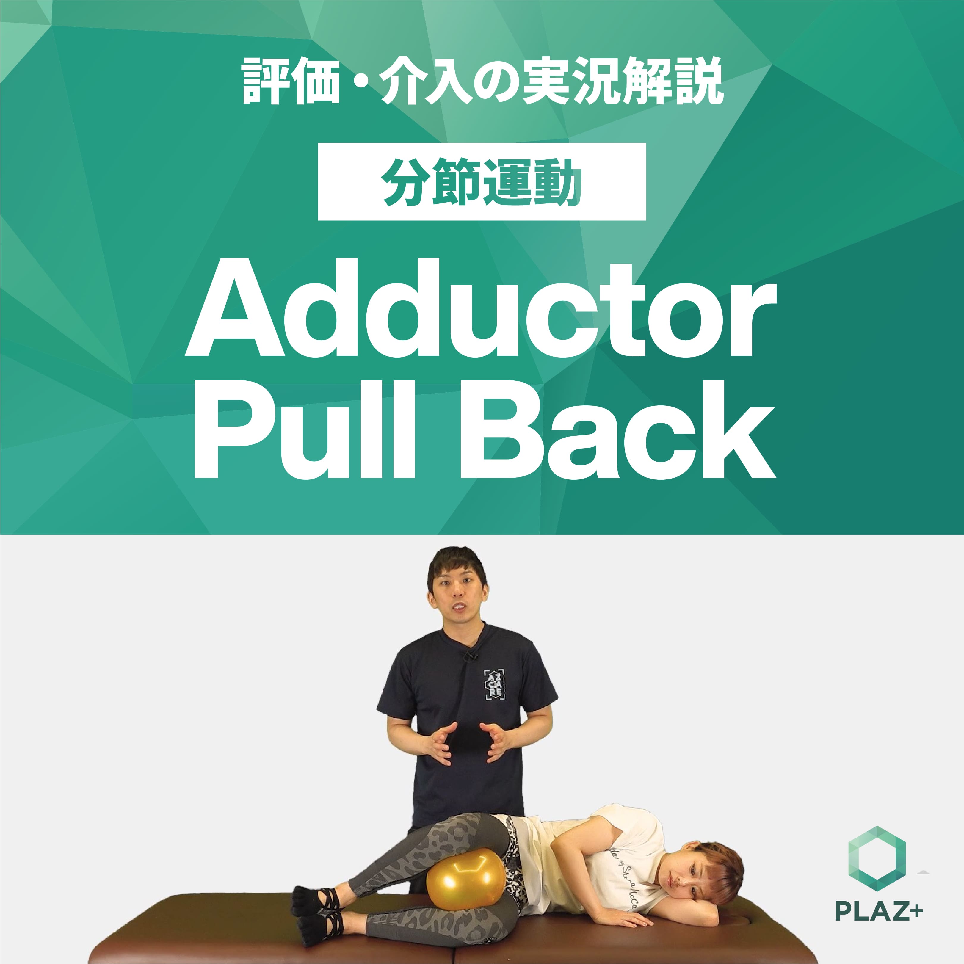 Adductor Pull Back