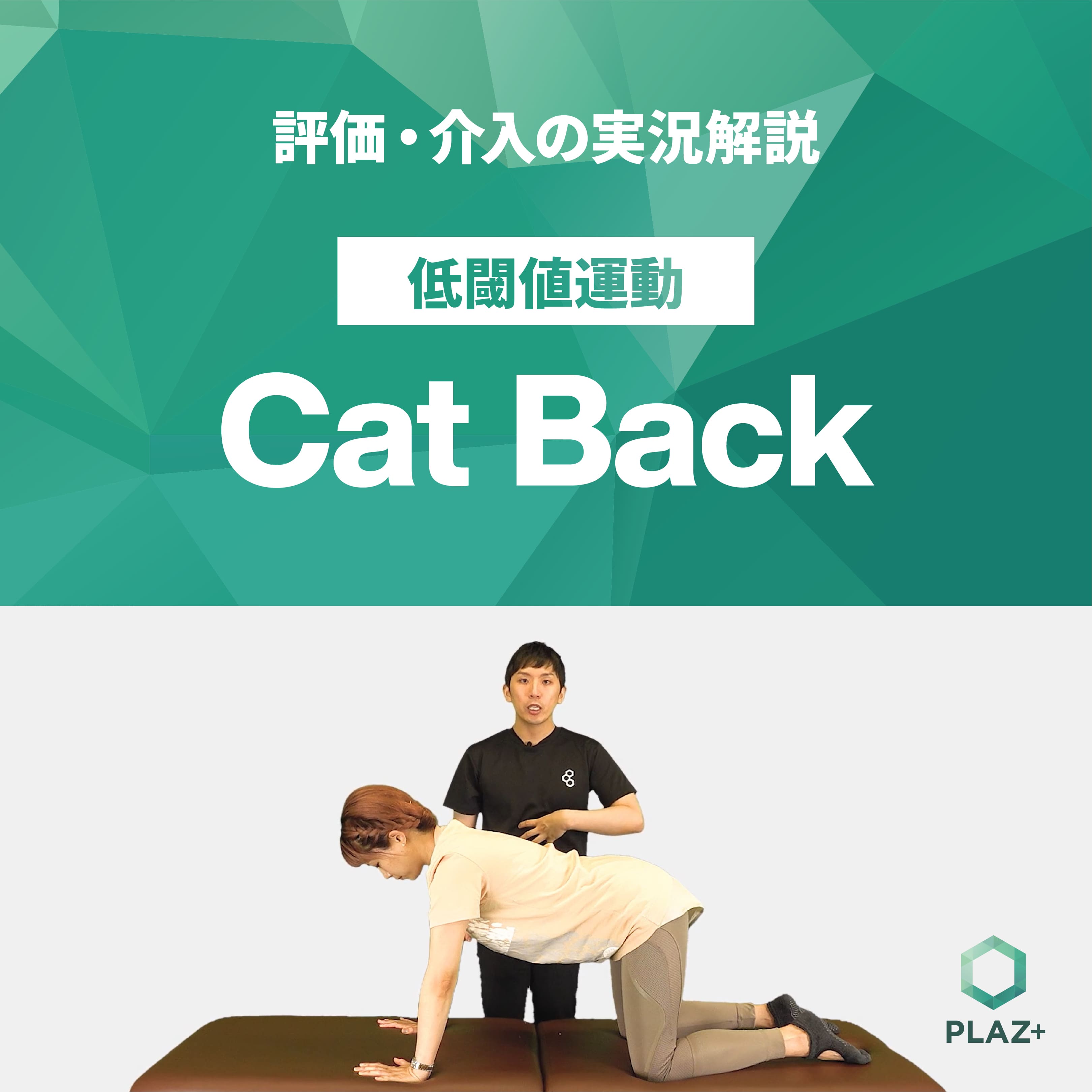 Cat Back