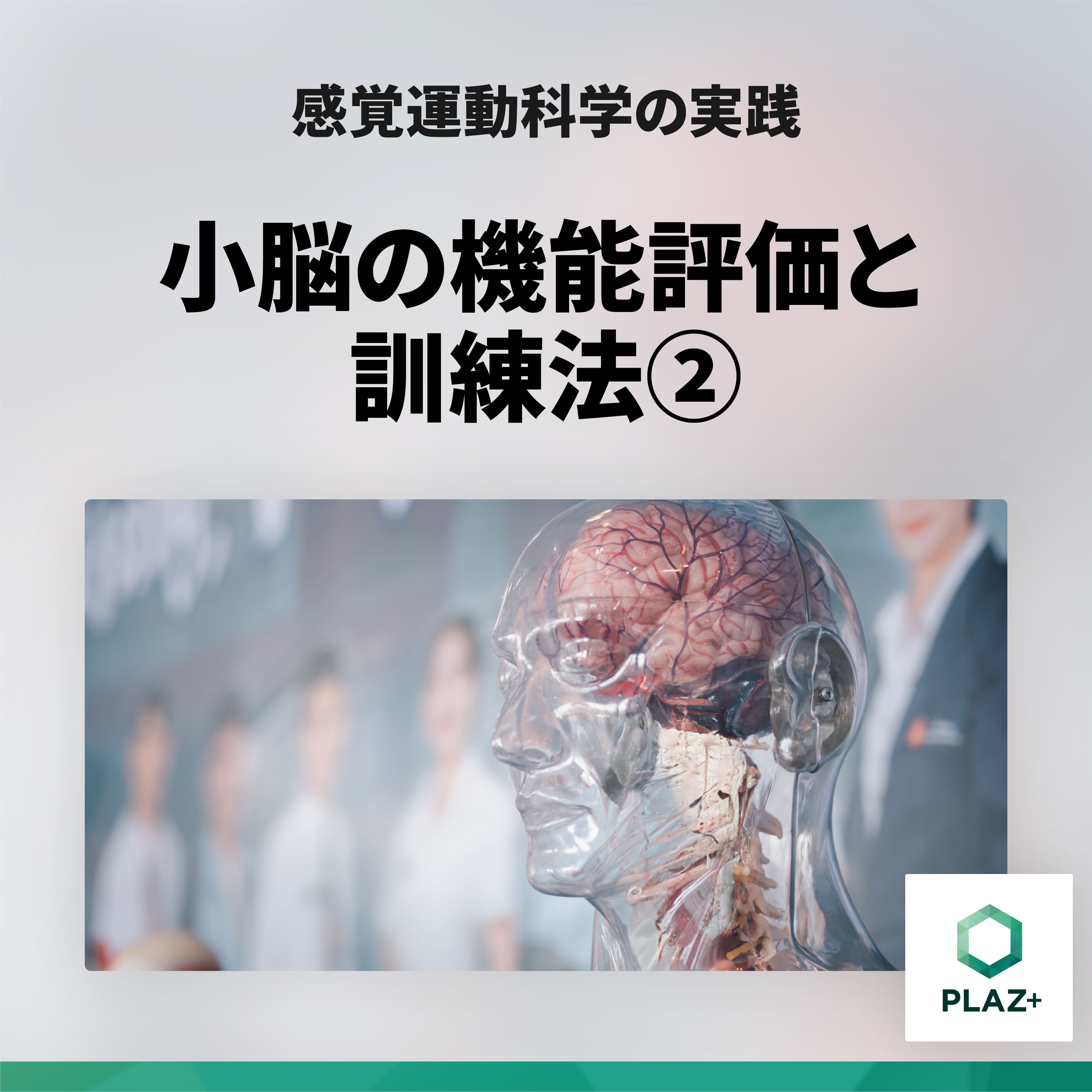 小脳の機能評価と訓練法②