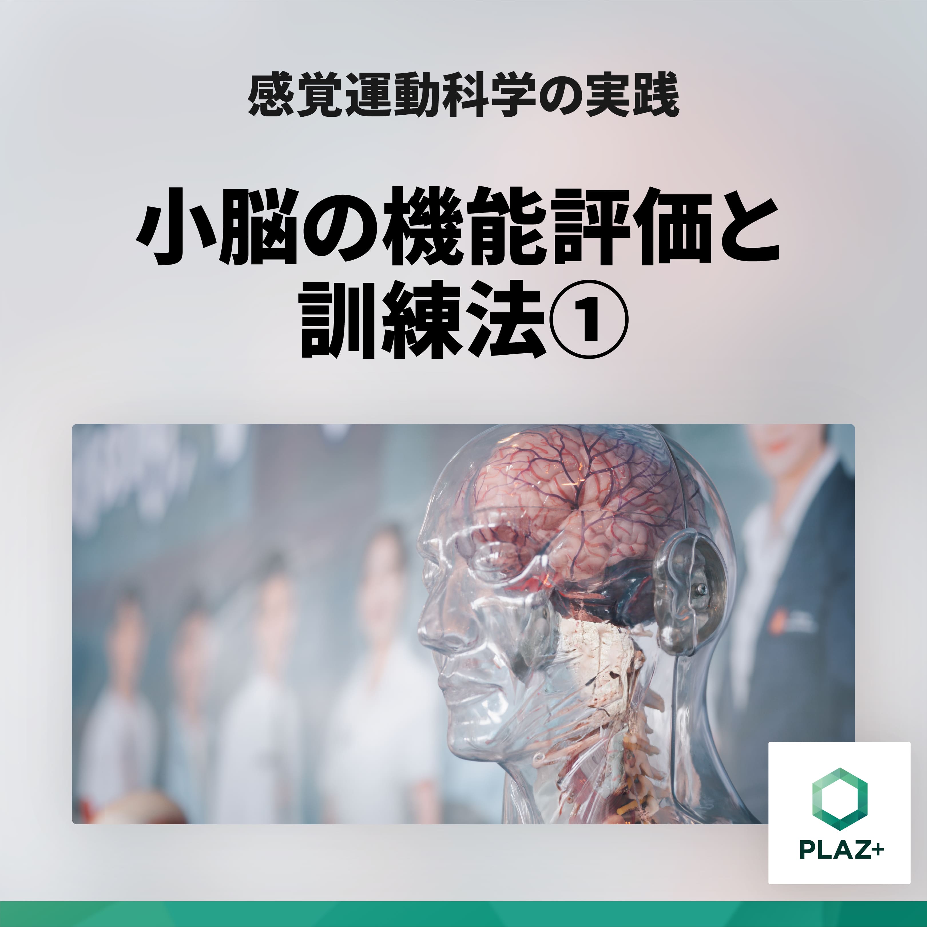 小脳の機能評価と訓練法①