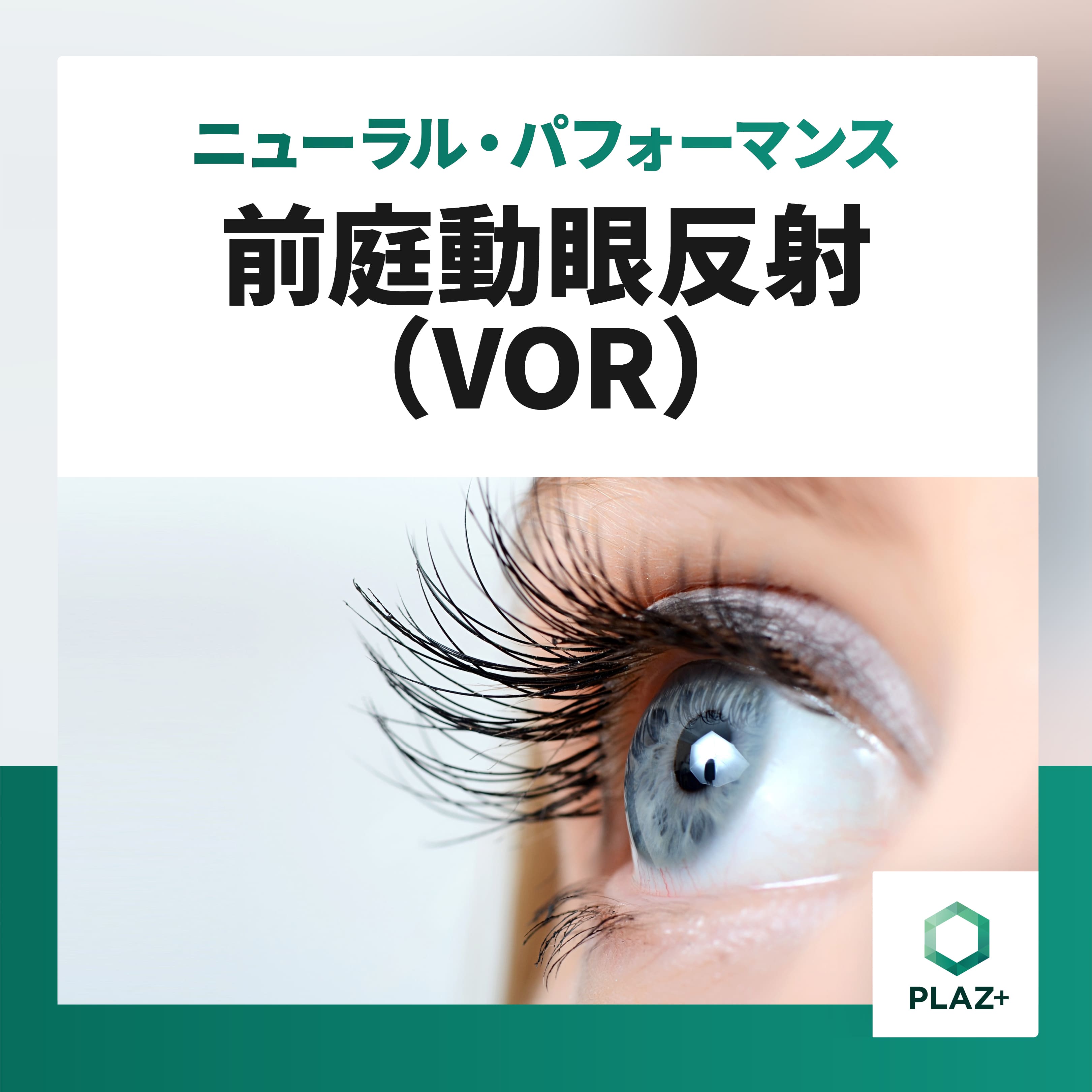 前庭動眼反射（VOR）