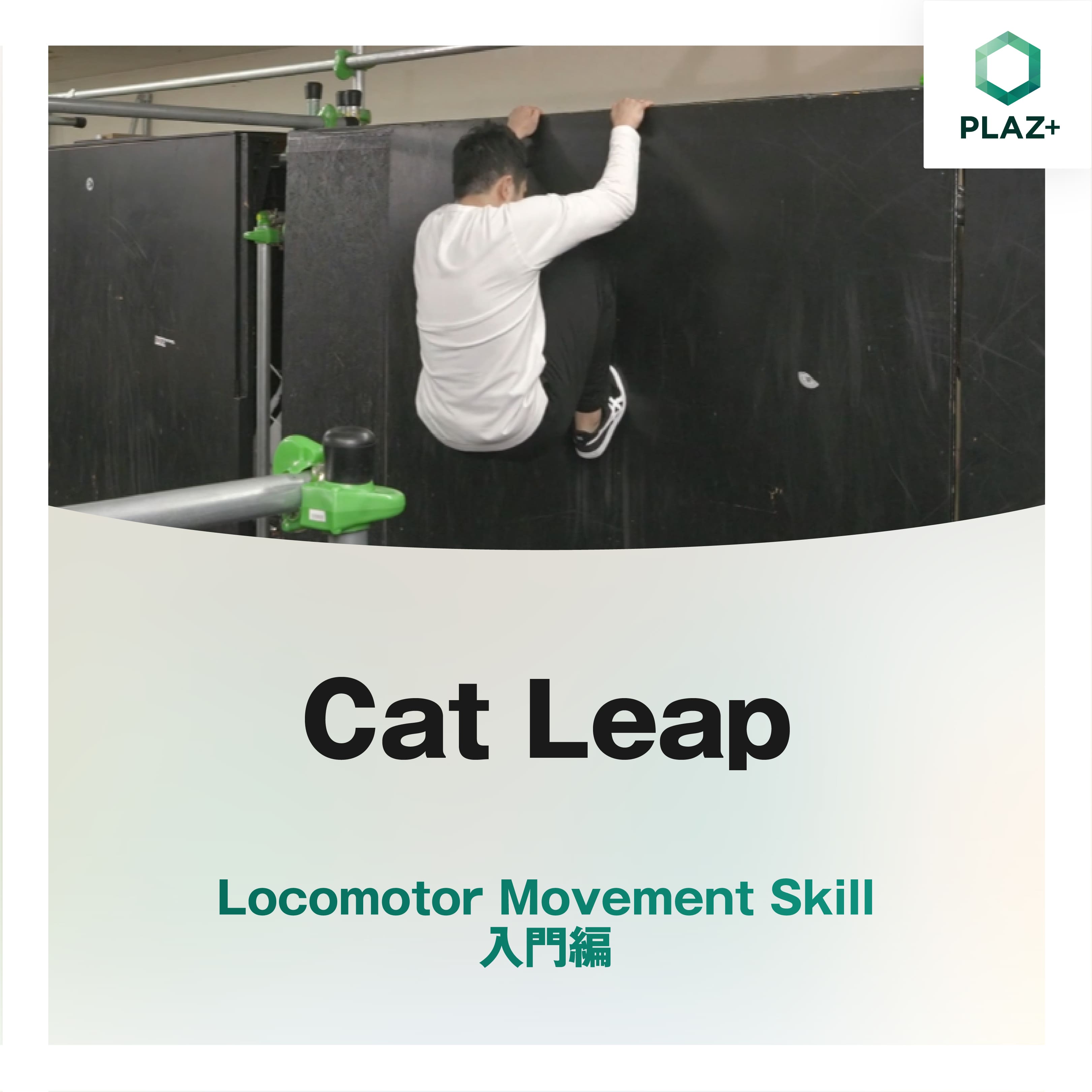 Cat Leap