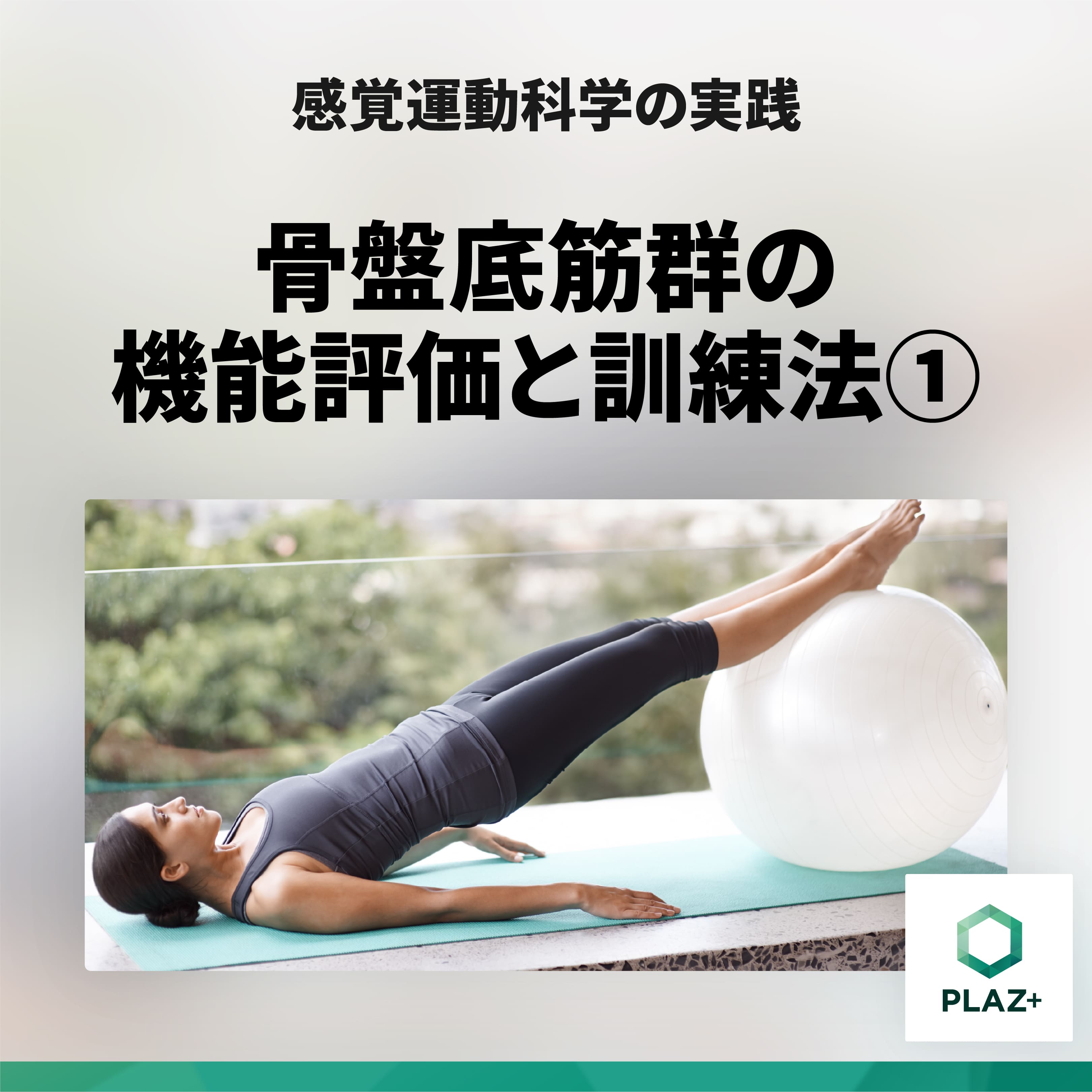 骨盤底筋群の機能評価と訓練法①