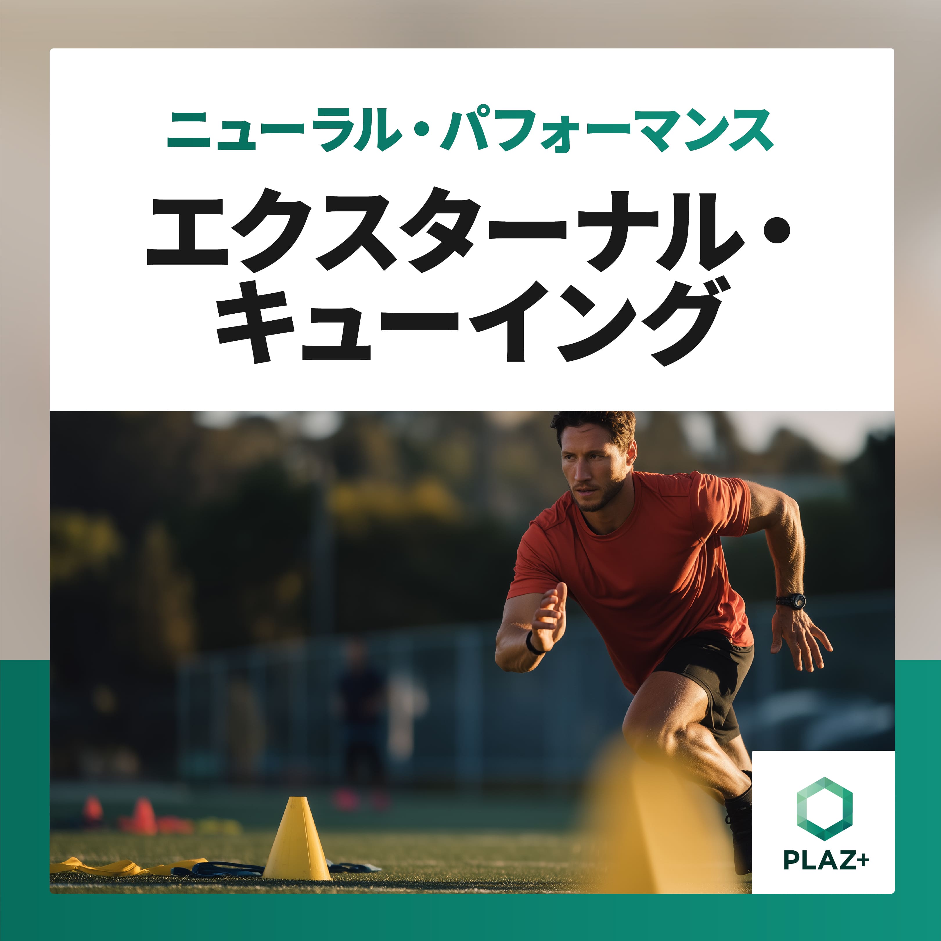 エクスターナル・キューイング