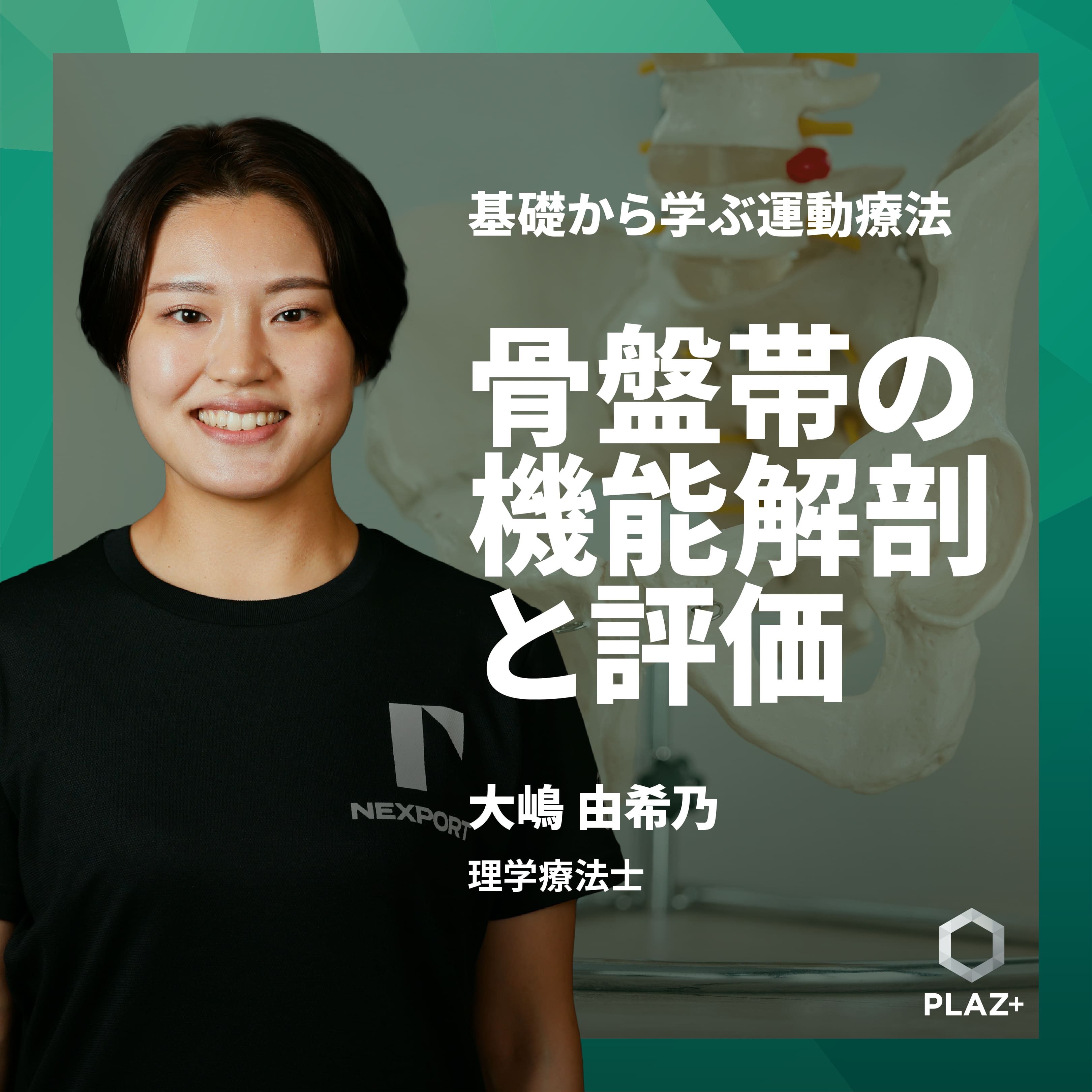 骨盤帯の機能解剖と評価